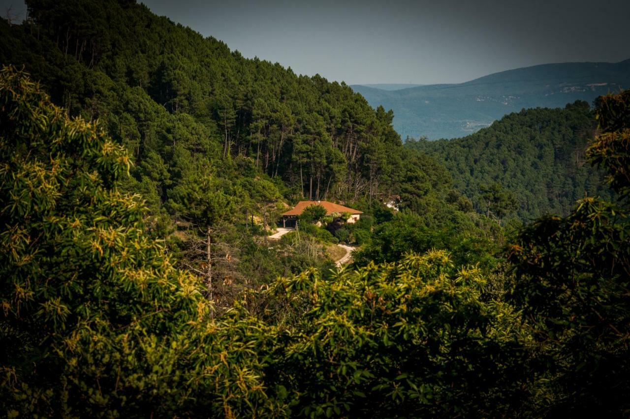 Villa Le Nid Des Anges Saint-André-Lachamp Esterno foto
